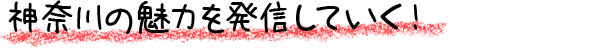神奈川の魅力を発信していく！